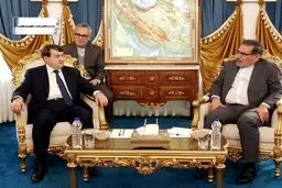 گفتگوی شمخانی و دستیار پوتین درباره همکاری‌های اقتصادی ایران و روسیه