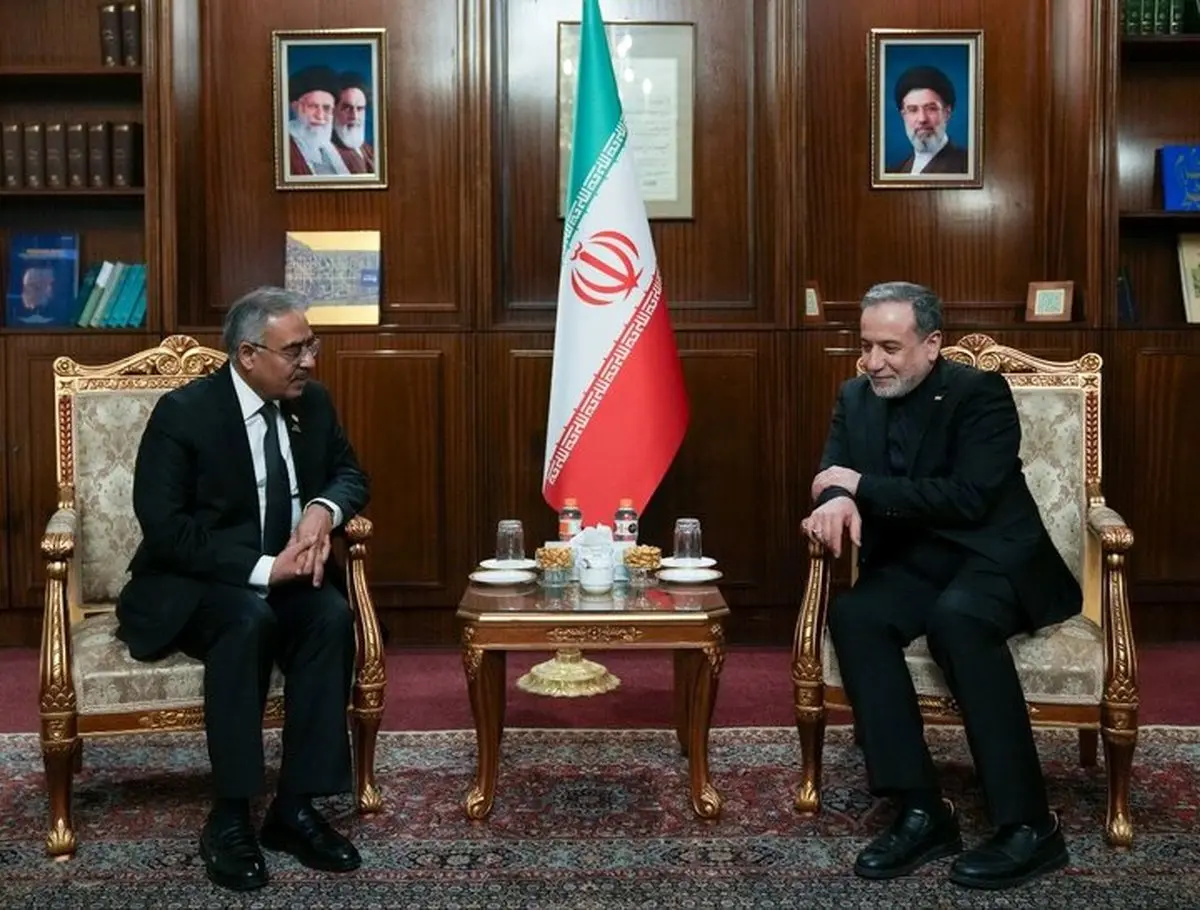 جزئیات دیدار  عراقچی و دبیرکل سازمان دی ۸