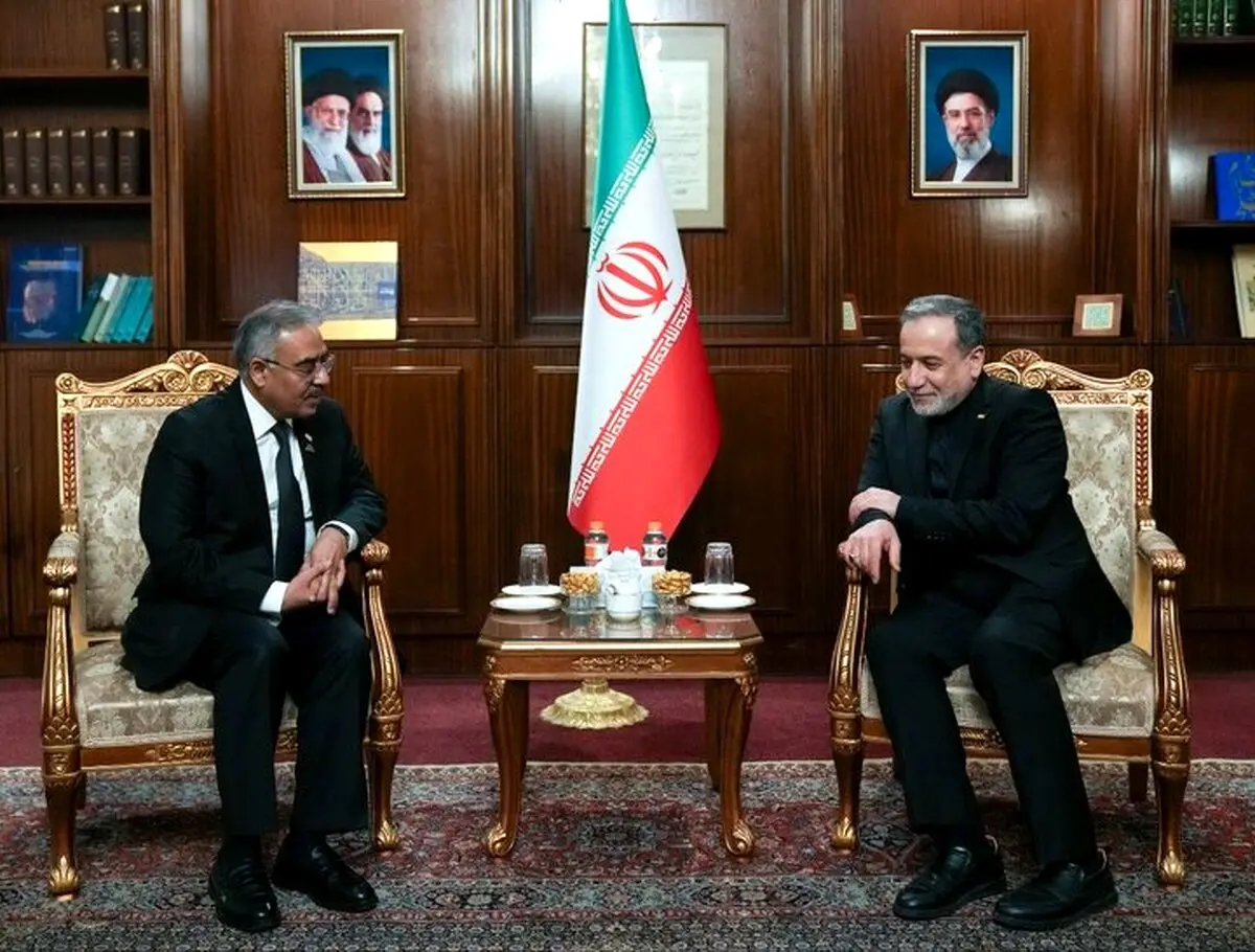 جزئیات دیدار  عراقچی و دبیرکل سازمان دی ۸