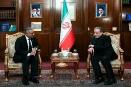 جزئیات دیدار  عراقچی و دبیرکل سازمان دی ۸