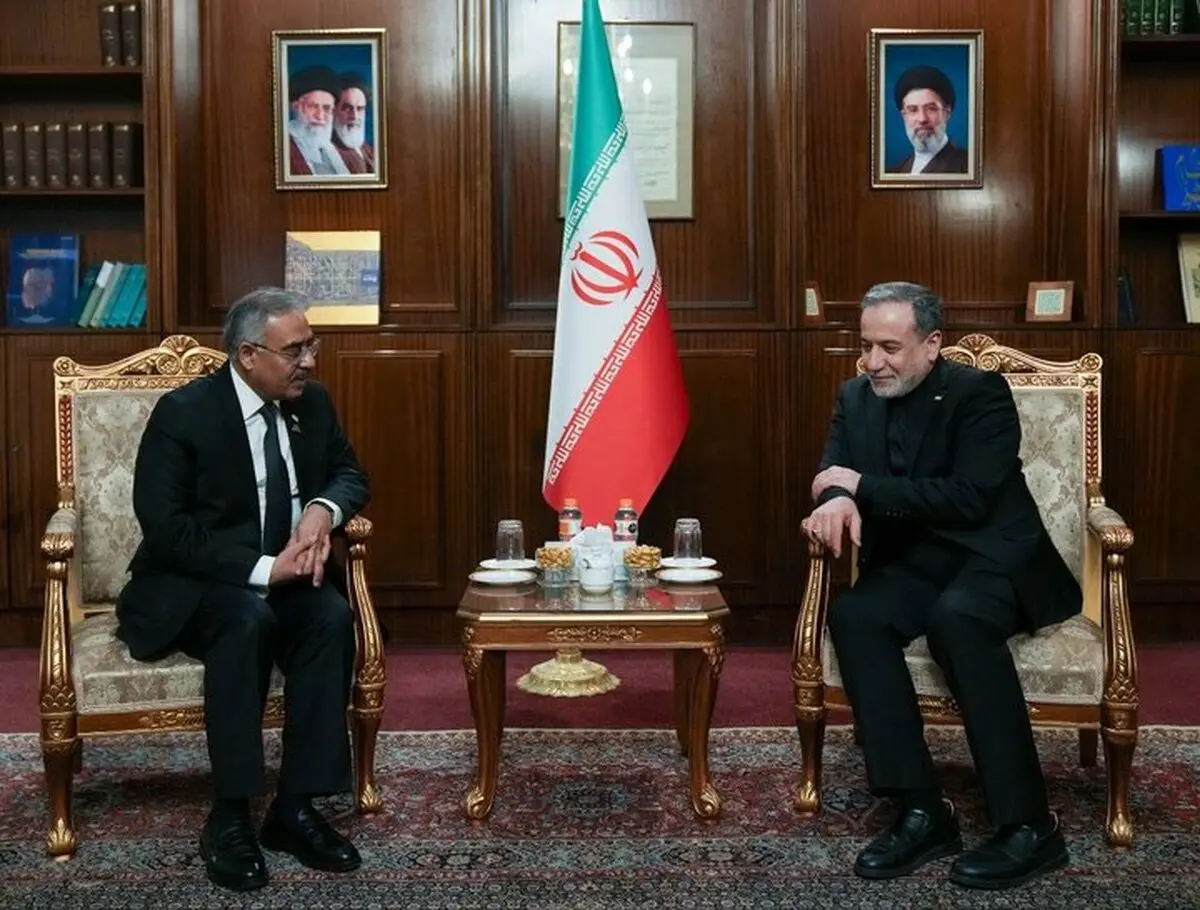 جزئیات دیدار  عراقچی و دبیرکل سازمان دی ۸