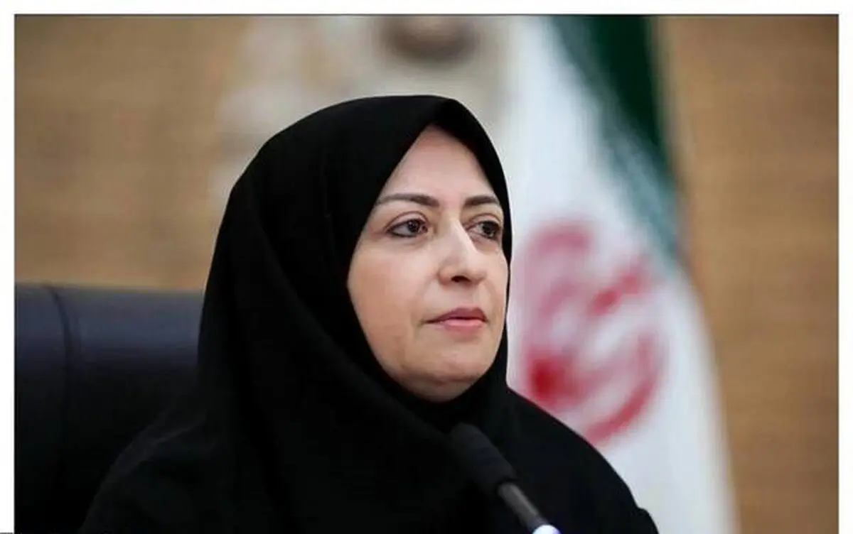 اولین واکنش رسمی شینا انصاری به سفر 50 میلیاردی به برزیل