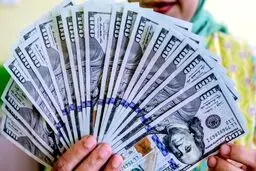 آخرین قیمت دلار در صرافی ملی اعلام شد (۱۴۰۰/۰۲/۰۱)