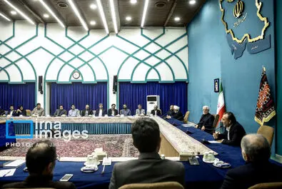 مجید انصاری