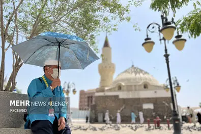 مدینه منوره
