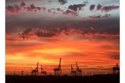 تصاویر حیرت انگیز از خطای دید انسان