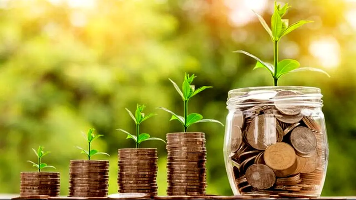 تعطیل بود، بار نرسید، قیمت گوجه ۴ برابر شد! 