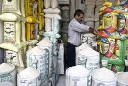 خبر خوب/ برنج ارزان شد + قیمت جدید برنج