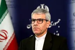 بقائی: ایران هرگز تسلیم خواسته‌های غیرقانونی نخواهد شد