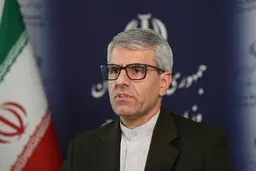بقائی: ایران هرگز تسلیم خواسته‌های غیرقانونی نخواهد شد