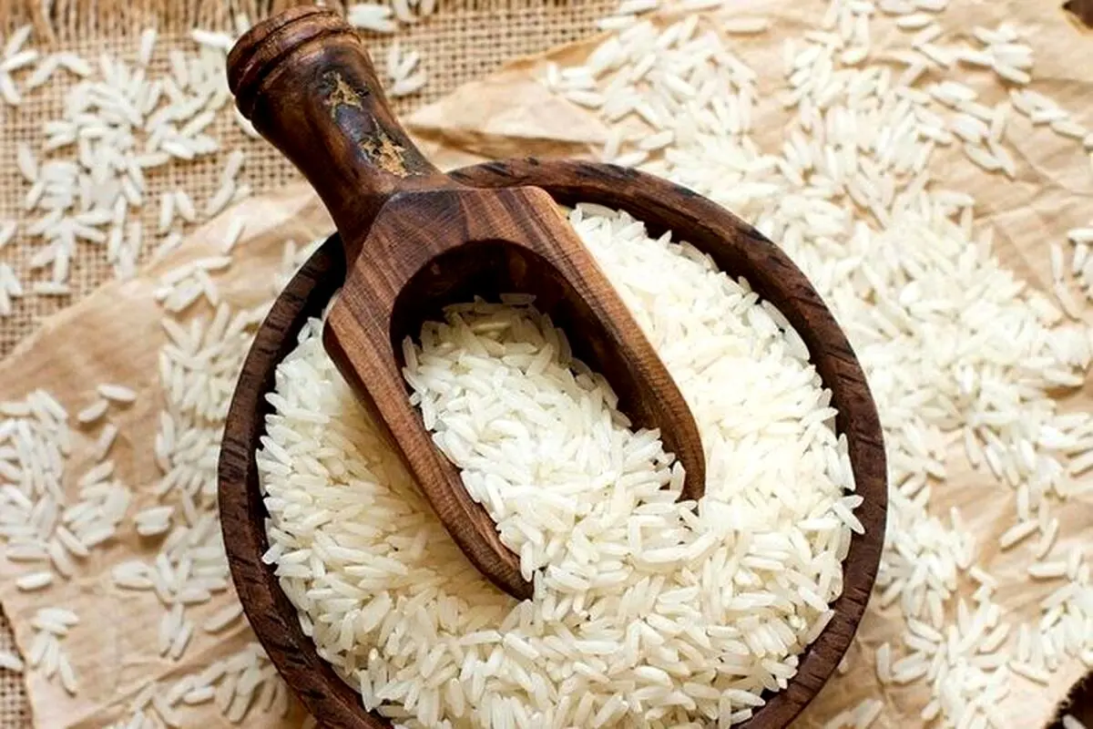 قیمت برنج ایرانی رکورد زد ! | گرانی بی‌سابقه برنج دم سیاه ؛ هر کیلو ۳۸۵ هزار تومان