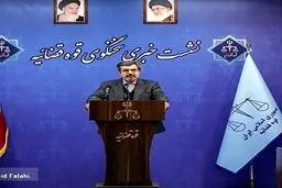 جزئیات تازه درباره ابربدهکار بانکی از زبان سخنگوی دستگاه قضا