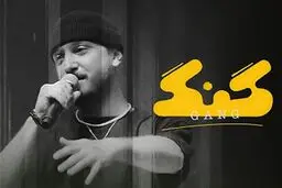 چرا جلوی برنامه علی ضیاء را نمی گیرید؟