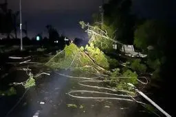 طوفان و صاعقه در استرالیا هفت کشته بر جای گذاشت