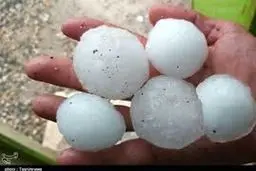 تصاویر خسارات سنگین تگرگ گردویی