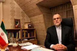 معاون وزیر امور خارجه‌:بدون حل FATF نفعی از رفع تحریم نمی بریم