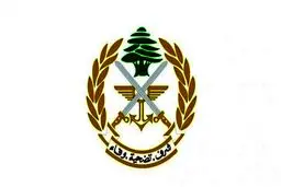 تبعه سعودیِ ربوده شده در لبنان آزاد شد