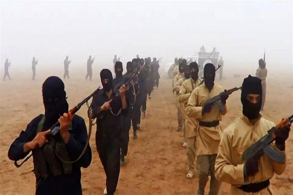 العربی‌الجدید مدعی شد: داعش برگشت!