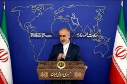 کنعانی: آزادی «بی آزار» محصول تلاش‌های مستمر سیاسی و کنسولی است