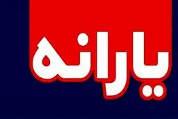 وعده مهم رئیسی درباره یارانه جدید / چه کسانی مشمول این یاراه هستند؟