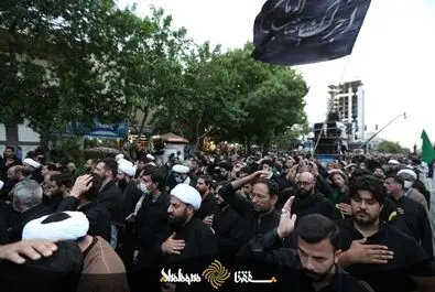 دسته بزرگ عزاداران علوی 