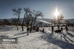 شادی و تفریح مردم همدان با بارش برف |عکس