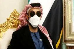 واکنش عجیب آمریکا به سفر مشاور امنیت ملی امارات به ایران