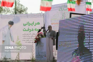 62824985_Negin-Hemmatzadeh-40