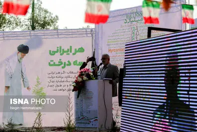 62824985_Negin-Hemmatzadeh-40