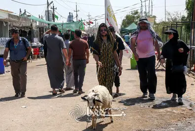  اربعین حسینی