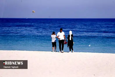 جزیره کیش