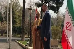 استقبال امیر عبداللهیان از همتای عمانی در تهران +فیلم