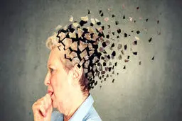 با خوردن این میوه خوشمزه به جنگ آلزایمر بروید