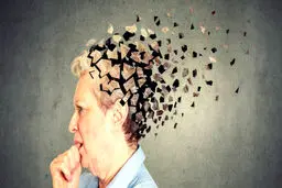 با خوردن این میوه خوشمزه به جنگ آلزایمر بروید