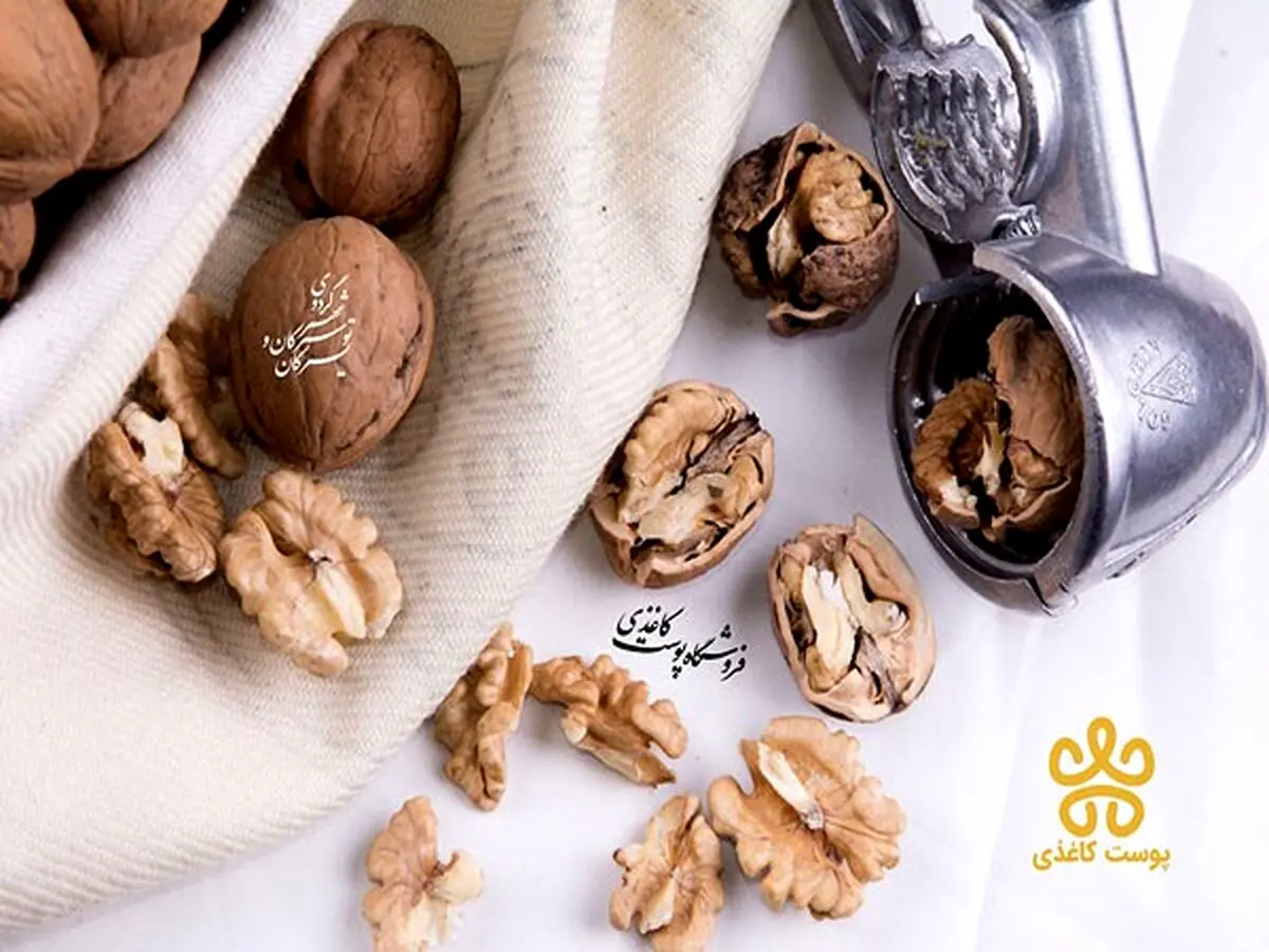 رابطه گردو و کبد چرب؛ مفید یا مضر؟