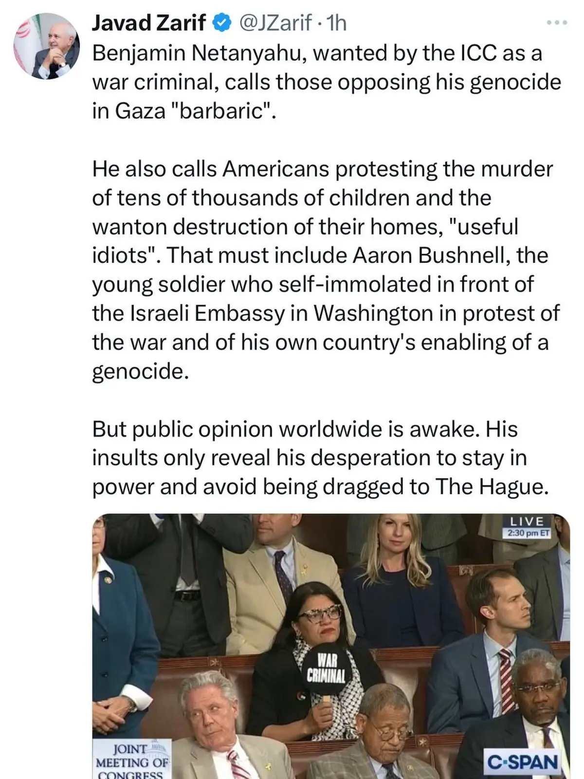 ظریف: توهین‌های نتانیاهو برای فرار از دادگاه لاهه است