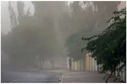 طوفان شدید تهران جان چند نفر را گرفت؟