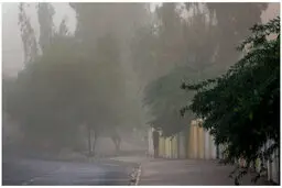 طوفان شدید تهران جان چند نفر را گرفت؟