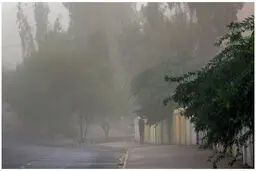 طوفان شدید تهران جان چند نفر را گرفت؟