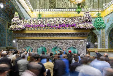 امام رضا(ع)
