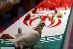 مهر تأیید سازمان ملل به شهادت ده‌ها غیرنظامی ایرانی در تجاوز اسرائیل