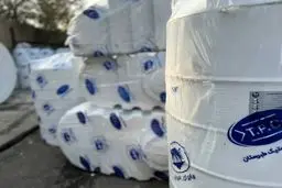 مخزن آب طبرستان؛ انتخابی مطمئن برای ذخیره‌سازی آب در شرایط کم‌آبی

