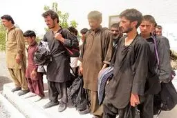 اتباع افغانستانی آنقدر که یارانه می‌گیرند، کار می‌کنند؟