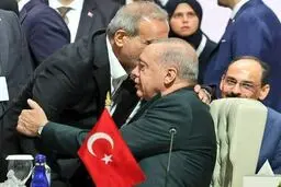 واکنش خاص مقام دولت به حاشیه‌های عکس پزشکیان و اردوغان