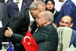 واکنش خاص مقام دولت به حاشیه‌های عکس پزشکیان و اردوغان