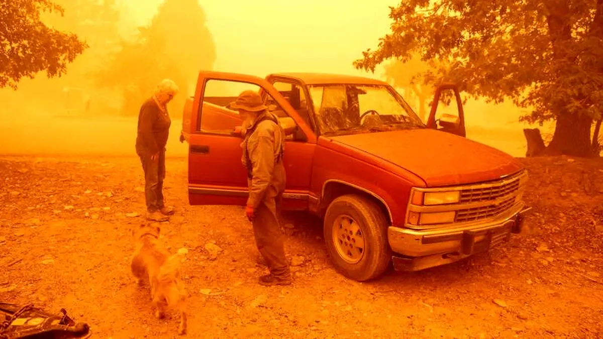 آتش سوزی ۱۶۵ هزار هکتار از جنگل‌ها آمریکا +عکس

