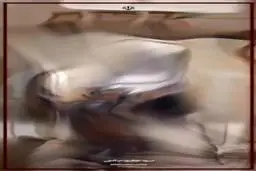  دیدار وزیر خارجه ژاپن با عراقچی