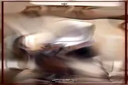  دیدار وزیر خارجه ژاپن با عراقچی