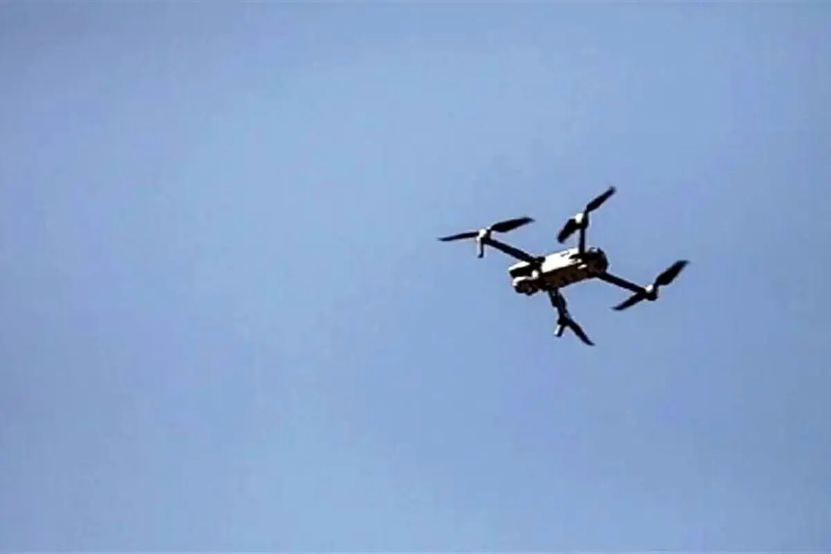 نفوذ ناکام در شرق ایران | ریزپرنده‌های صهیونیستی در مشهد ‌شکار شدند!