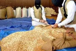 نقش شاهزادگان سعودی در قاچاق مواد مخدر از سوریه افشا شد